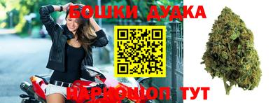 индика Бузулук