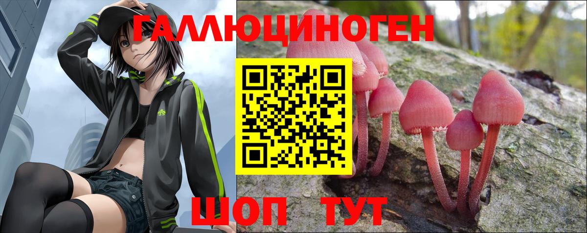 Псилоцибиновые грибы GOLDEN TEACHER  Галлюциногенные грибы Magic Shrooms  Вход с VPN  Уссурийск 